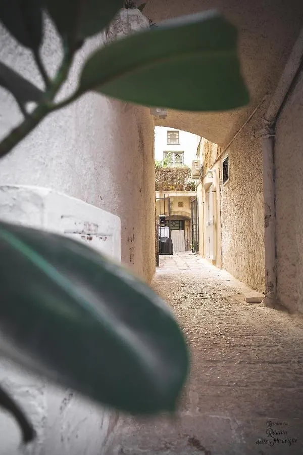Residenza Rosaria Delle Meraviglie Bari Apartment